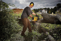 Dewalt høreværn med Bluetooth sort/gul
